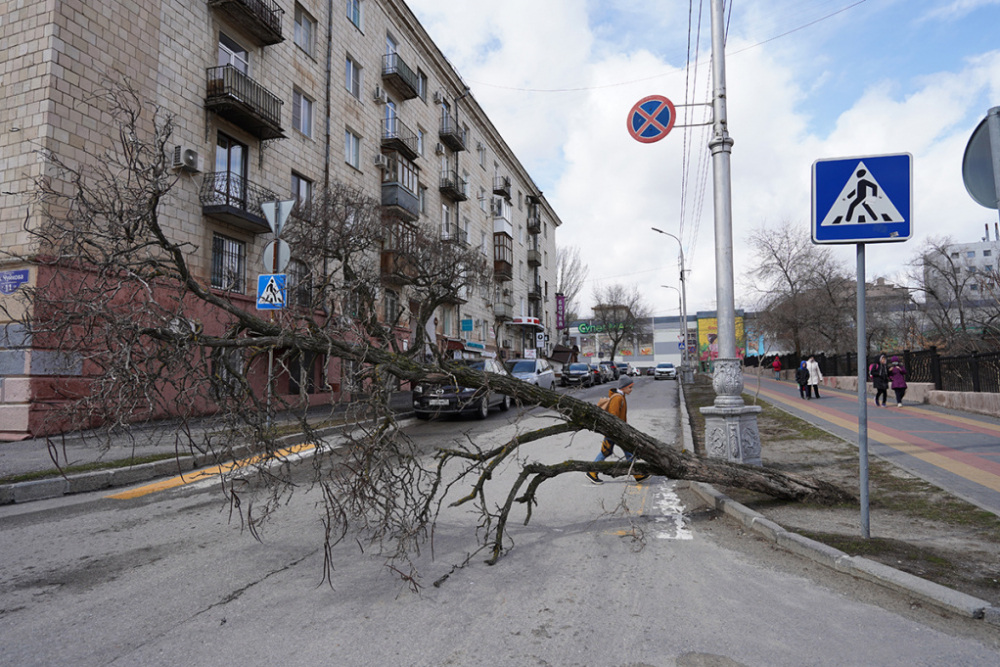 Средиземноморский циклон со снегом и ливнем несется на Волгоградскую область
