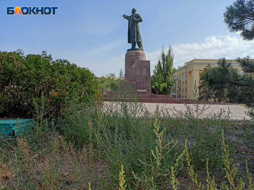 Ленин среди сорняков: центр Волгограда превратили в заросшее гетто