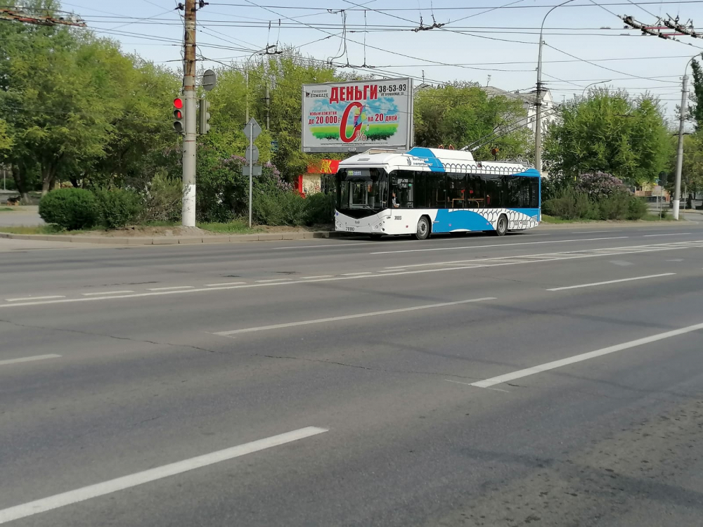 Обращение волгоградцев о возвращении троллейбуса №18 приняли в облдуме после письма Володину
