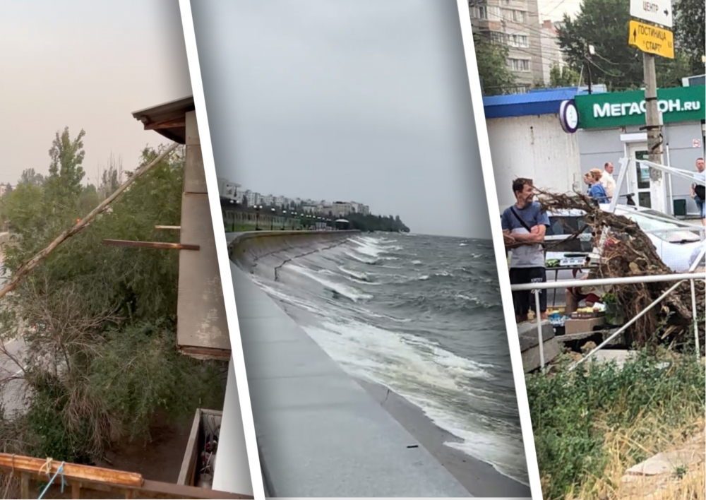 Шторм на Волге, вырванные с корнем деревья и оборванные провода: ураган прошел по Волгоградской области