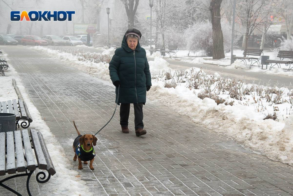 В день «Черной пятницы» Волгоград накроют геомагнитные бури и мокрый снег