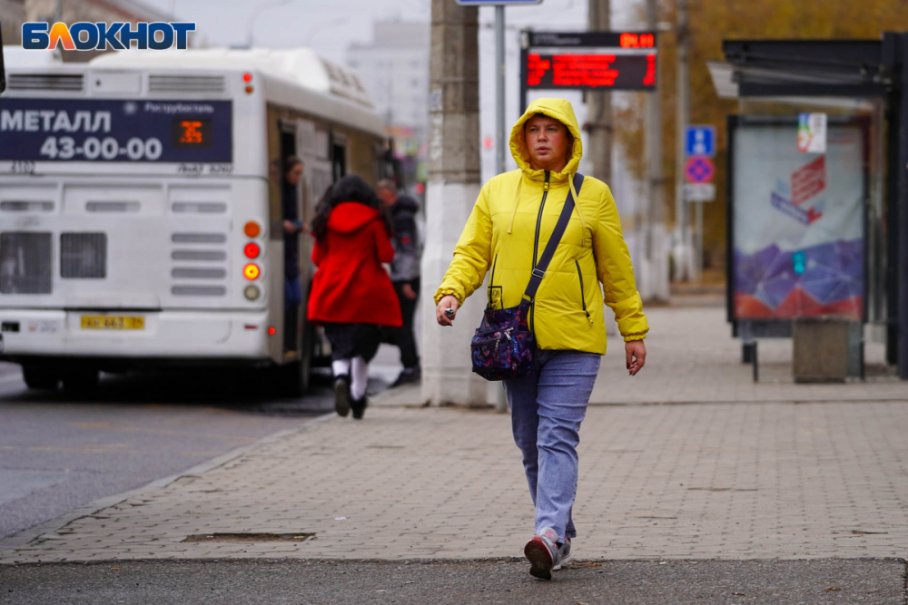 Сократить ожидание автобусов в Волгограде пообещала мэрия за 1,1 млрд