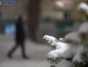 До 17 градусов потеплеет в Волгограде: прогноз погоды на март