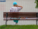 Сезон мошкары начался в Волгограде