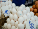 Золотые яйца идут на новый рекорд в Волгограде