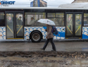 Транспорт в Волгограде переводят на особый режим работы