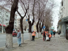 «Пережиток коммунистического прошлого»: мэрия объяснила, зачем в Волгограде белят деревья