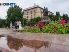 Более 95% волгоградцев не верят, что город станет зеленее