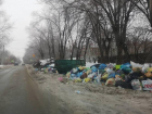 Мусорный коллапс в Волгоградской области: мужчина умер с пакетом отходов в руках 