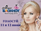 11 июня стартует голосование в конкурсе «Мисс Блокнот Волгоград-2016»