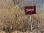 В Волгоградской области задержали браконьера с самодельной фарой