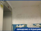 «Боимся зайти в подъезд»: огромные черные мошки стали кошмаром волгоградцев