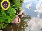 Тело мужчины затянуло на глубину 6 метров на коварной Медведице под Волгоградом