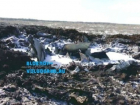 Командир рухнувшего под Волгоградом Су-24 был дважды представлен к госнаградам 