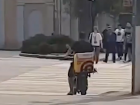 Облаву на самокатчиков устроили в центре Волгограда – видео 