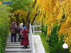 Как изменится жизнь с 1 октября: список новых законов