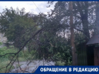 За жизнь детей боится волгоградка из-за повисшего на проводах дерева во время бури
