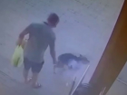 Мужчина в упор выстрелил в морду собаки — видео 