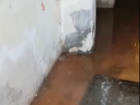 Вода по щиколотку и искрящие плиты: выживающее без отопления общежитие затопило в Волгограде