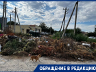 Безумные свалки стали предвестниками пожаров для жителей Волгограда