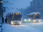 Волгоградцев взбесили автобусы №55 без кондукторов по вечерам