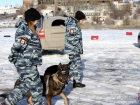 В Волгограде студенты узнали о работе кинологов и их четвероногих напарников