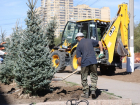 Не узнали улицу: рекордные темпы озеленения показали в центре Волгограда