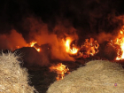 Сельчанка из ревности подожгла 18 тонн сена соперницы в Волгоградской области 