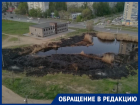 В Волгограде при пожаре у пруда сгорали животные: видео