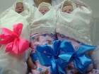 В Волгограде врачи выписали новорожденных тройняшек