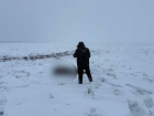 Тело подростка в 200 км от дома нашли у границы Волгоградской области