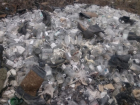 В Волгограде за свалку медицинских отходов компания ответит в суде