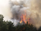 Пожарные отбили у огня хутор Каменный в Волгоградской области