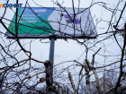 Сбербанк снял с себя ответственность за вырубку деревьев в Волгограде