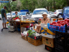 Новый виток подорожания яиц зафиксирован в Волгоградской области