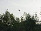 Опасных вредителей уничтожат с воздуха в Волгоградской области