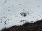 Опубликовано видео с места обнаружения тела 15-летней Айлиты Ли в Чухонастовке 