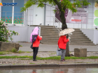 Сильный дождь с грозой пройдет в Волгоградской области