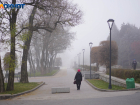 Опасный туман накроет Волгоградскую область на 14 часов