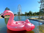 Гигантский розовый фламинго появился на пруду в ЦПКиО в Волгограде