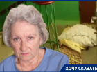 Хозяйку квартиры выгнали с вещами на улицу отказавшиеся съезжать арендаторы в Волгограде