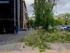 «Деревья с корнями начнут летать»: вторая волна шторма накрыла Волгоград