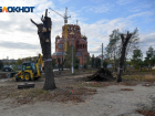 В Волгограде банкротится фирма, директор которой  вырубил сквер у собора Александра Невского