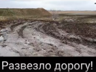 Километр непролазной грязи отрезал от цивилизации приют с сотнями собак под Волгоградом