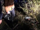 Опубликовано видео показа на месте убийства 16-летней Кристины из Елани