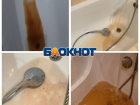 Без тепла остались жители Волгограда после жалобы на ржавую горячую воду