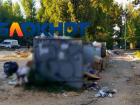 «Здесь дохлые голуби и крысы размером с лошадь!»: гранд-свалку возле детсада требуют убрать в Волгограде