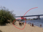 Коровы присоединились к купанию в Волге на  пляже хутора Бобры