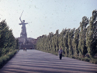 Двух важных наград и приезда Касыгина удостоился Волгоград 60 лет назад