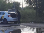 Волгоградку возмутил бросающий мусор на обочину таксист «Яндекса»